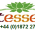 Logo for the brand Quintessential Tips | Hemp Products & CBD Oils
